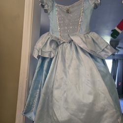 Cinderella Costume