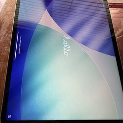 iPad Pro 12.9 inch