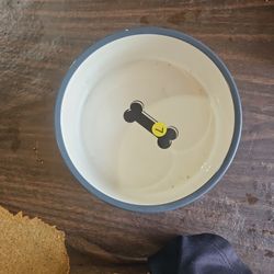 Big Dog Bowl