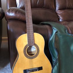 Guitar with Bag