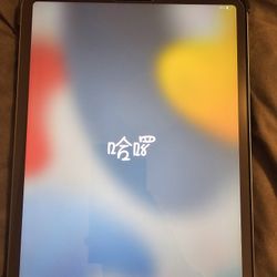 iPad Pro 11 Inch 