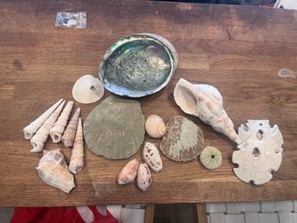 Free shells