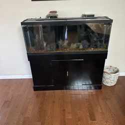 45 Gallon Fish Tank Comes With Black Stand 