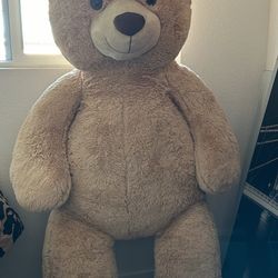 Giant 5 ft Teddy Bear