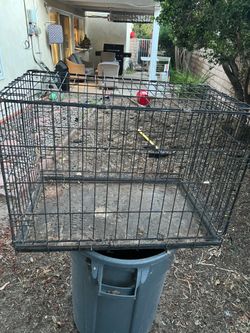 Pet Lodge Wire Dog Crate