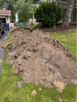 Free Dirt