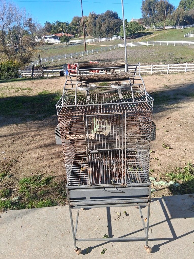 Bird Cage With Overhead Play Top