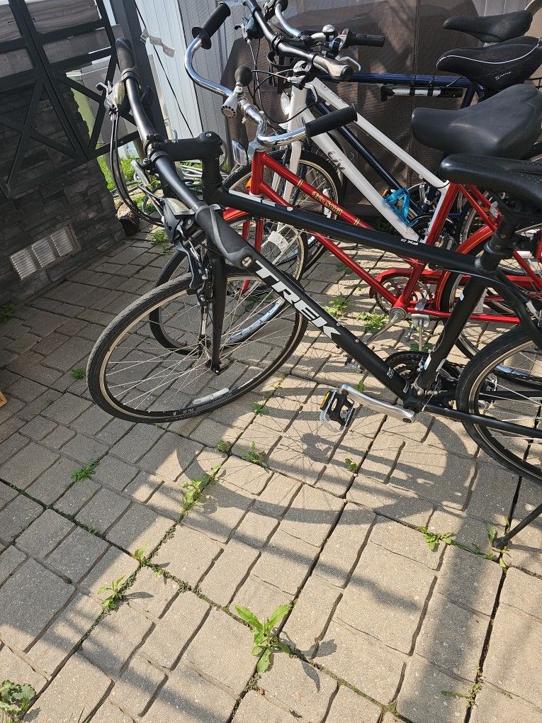 Trek Fx2