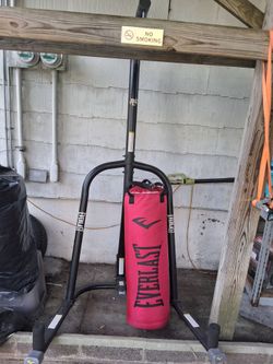 Everlast pushing bag and stand