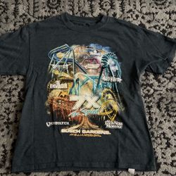 Busch Gardens Williamsburg, VA T-shirt Youth Large 