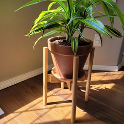 Bamboo Plant Stand Qty 2