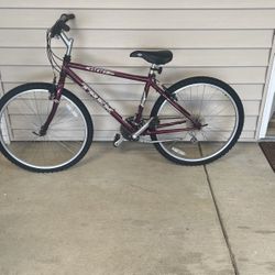 Trek 800 Sport 14 Speed 24” Mountain Bicycle