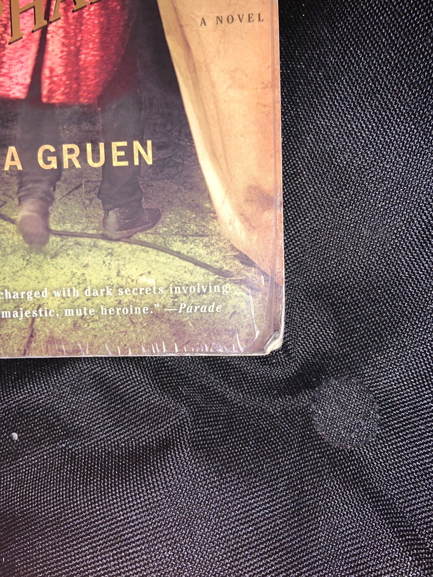 Water for the Elephants paperback