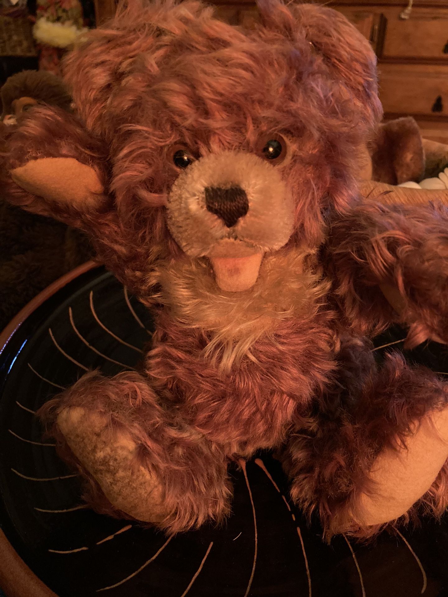 1950’s Mohair Bear “Steif “