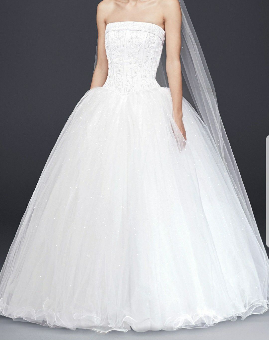 Quinceanera/Wedding dress