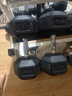 65lb dumbbells