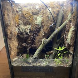 Custom DIY IKEA Terrarium/Vivarium – With Lights & Auto Misting