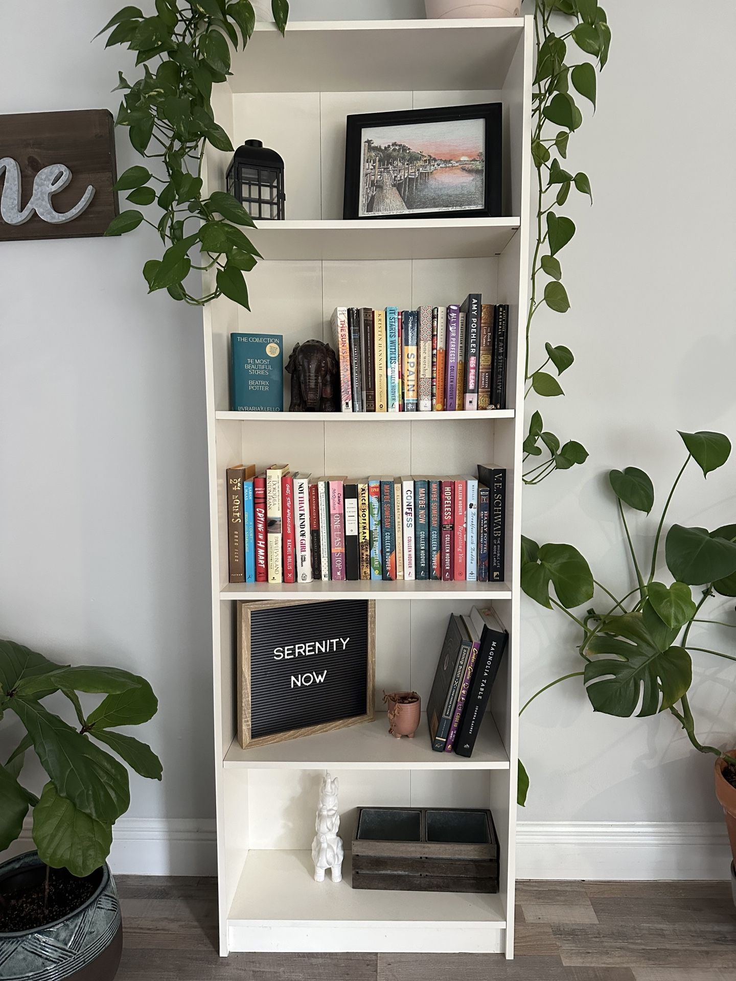 Bookshelf