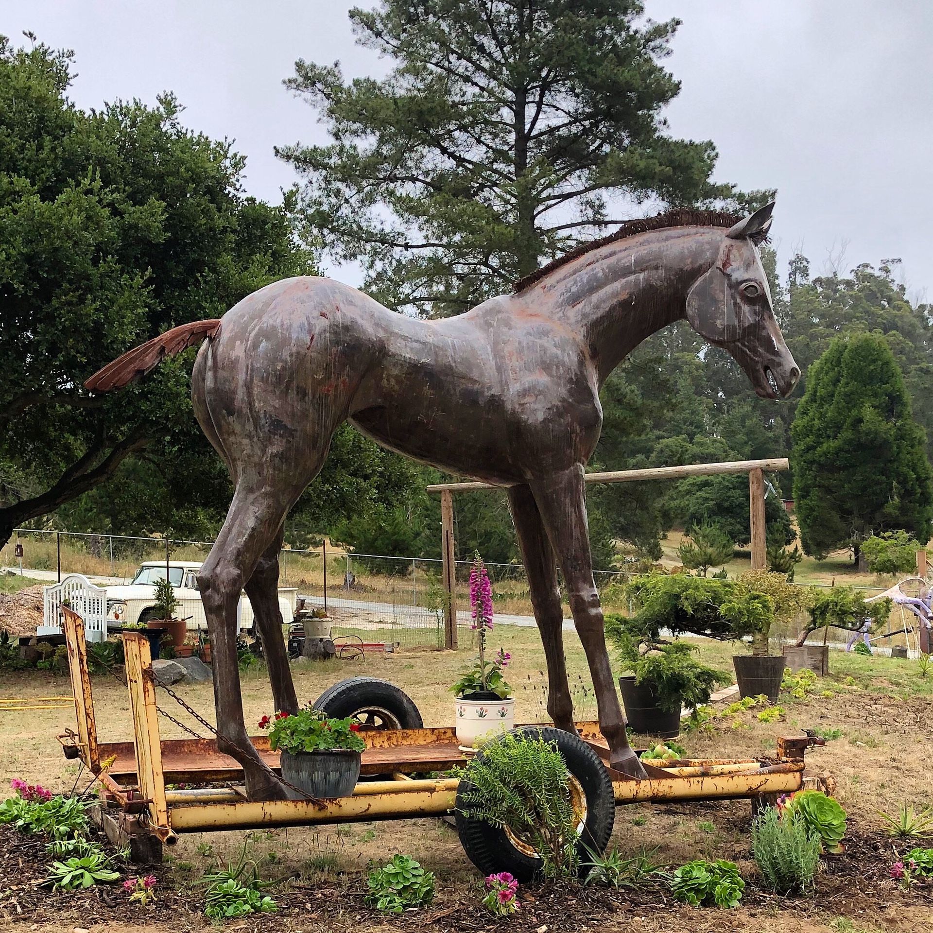 Iron Pony Plant Nursery
