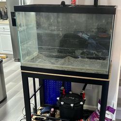 65 Gallon Tank Only 