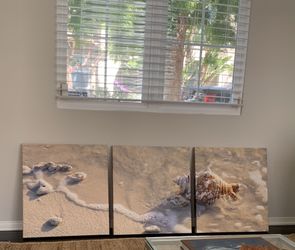 Seashell Canvas Decor / Art