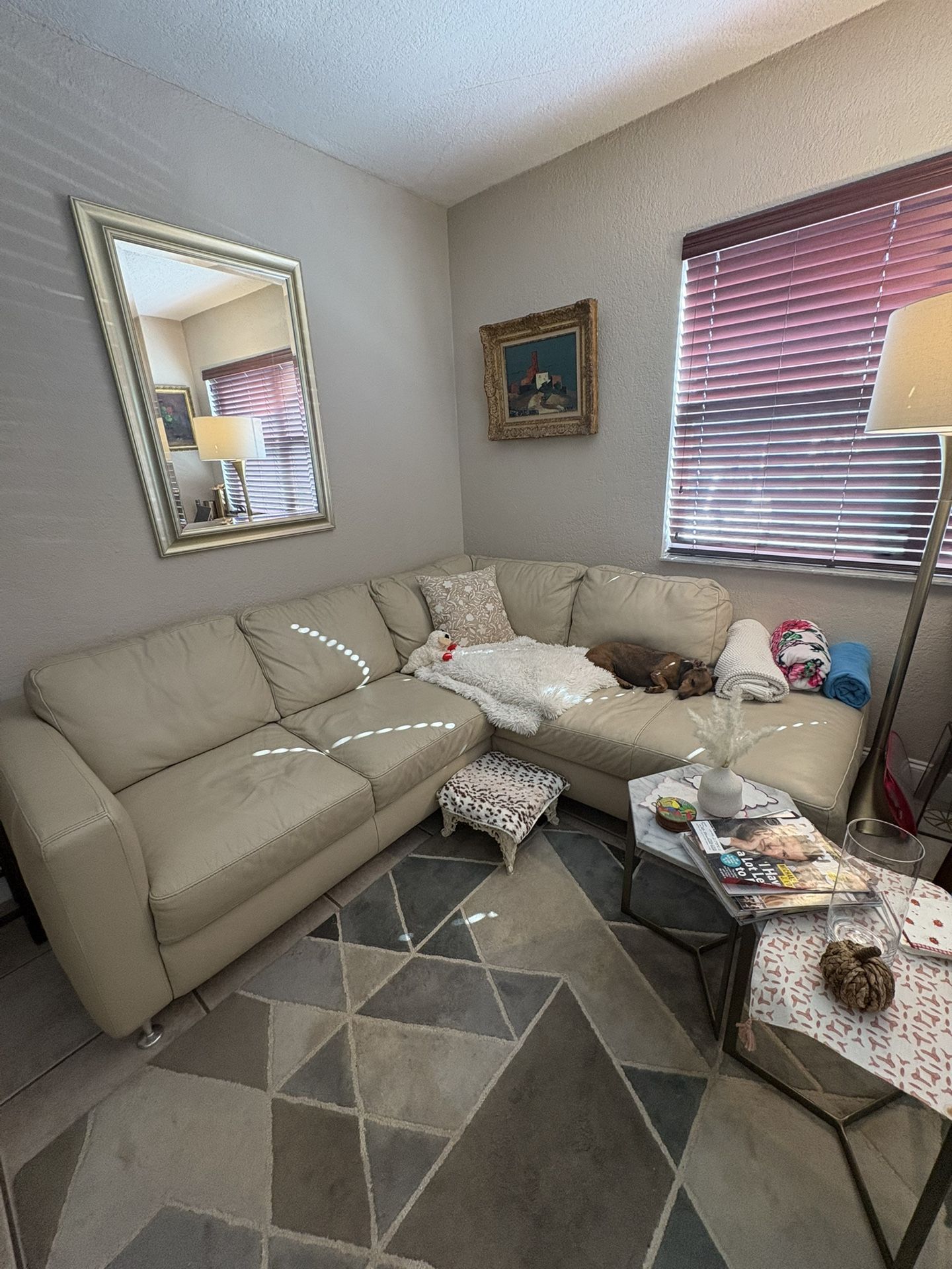 Italian Leather Beautiful Couch (sectional )