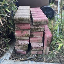 Garden Bricks 