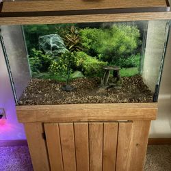 30 Gallon tank With Stand! 🐠🐟🐡