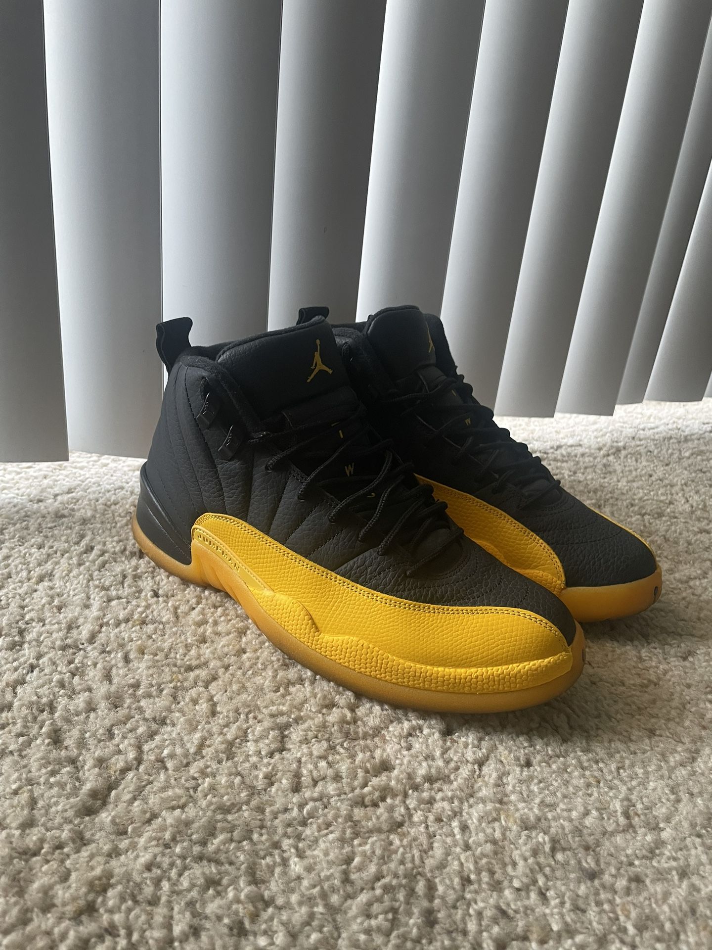 Jordan 12 University Gold & Black Size 10