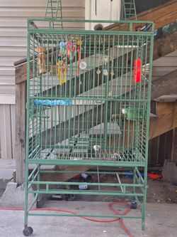 Bird house