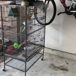 Bird Cage