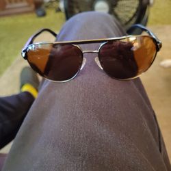 Pugs Gear Model 42 Sunglasses Brand Nee