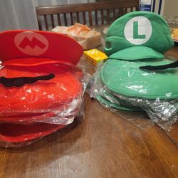 Mario & Luigi