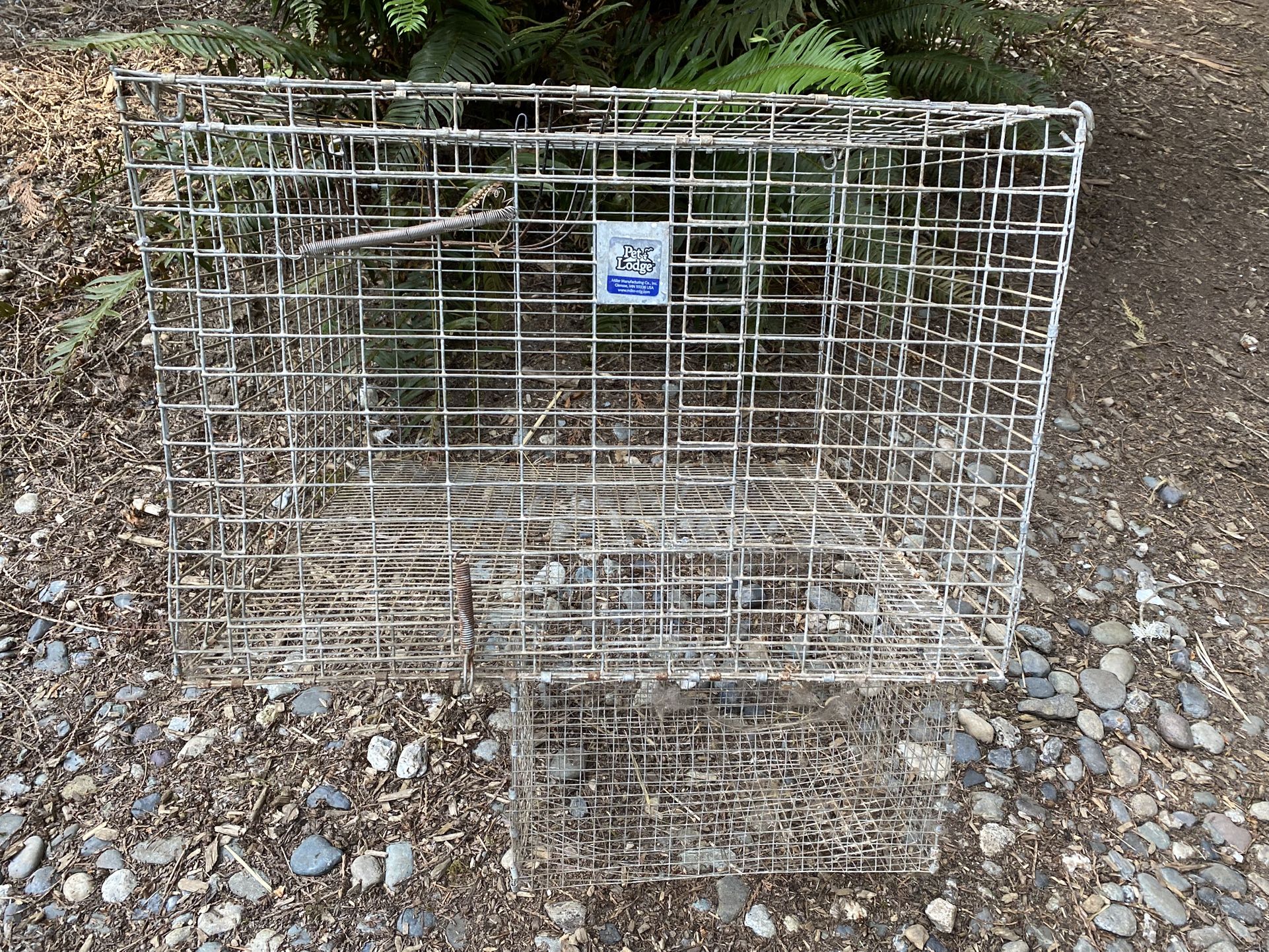Rabbit Cage