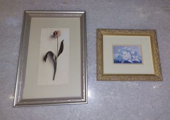 $10 Two Floral Wall Art Pictures 