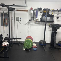 Colored Bumper Plates