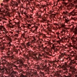 Burgundy Red Rug