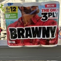Brawny Paper Towel - $9