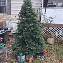 Big BEAUTIFUL TREE 8.5' I THINK