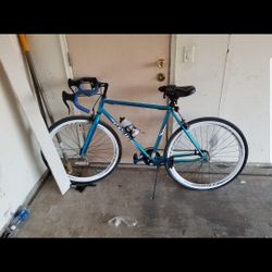 Nice Race Bike 1speed