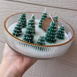 [NEW] Aspen Winter Forest Tree Scented Candle TikTok Viral homegoods/tjmaxx