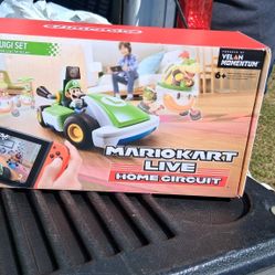 Nintendo Switch  Cart 