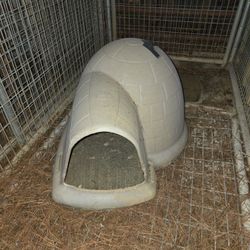 2 Igloo Dog Houses For Med To Small Dogs.