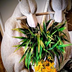 This Very Unique Hand Carved To Perfection  Ivory Wash Antique Look,Of 2dogs Sharing A Stick' just A Little Over 3ft Tall