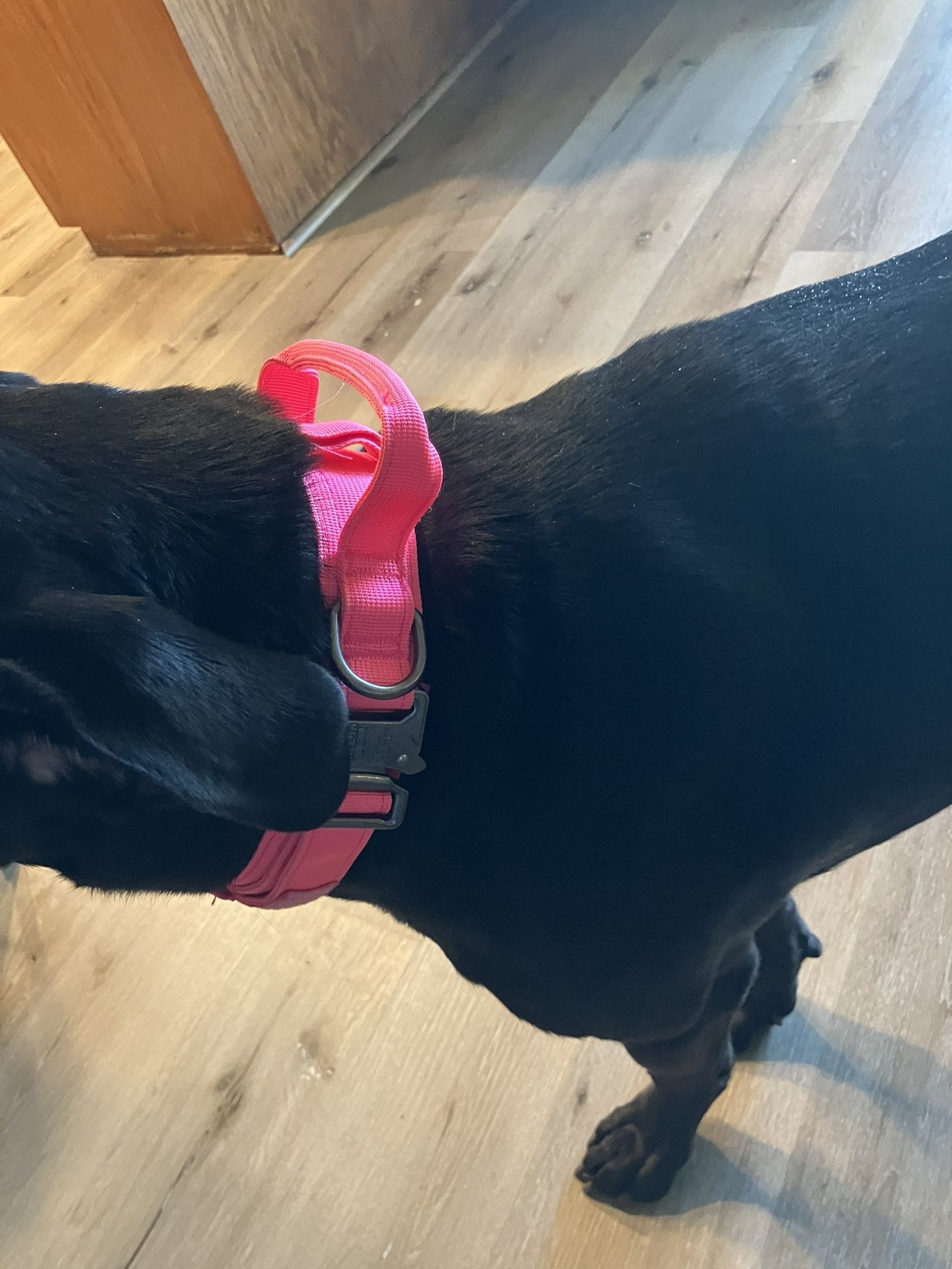 Military Tactical Collar