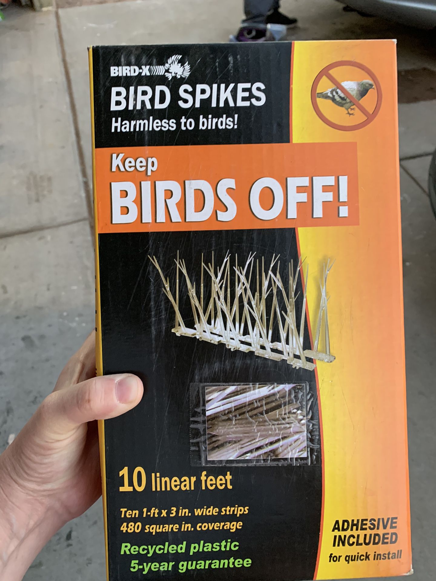 Bird Off Spikes (20’)