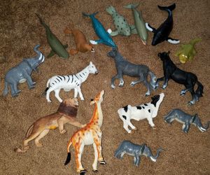 Lot of Animals
