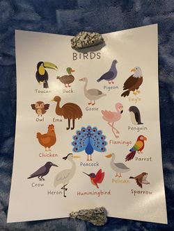 Playroom/Nursery/Kids’ Room Decor/Prints