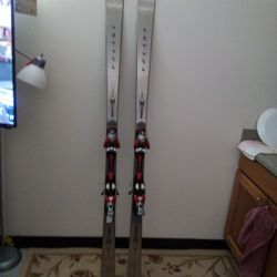 Snow Skis