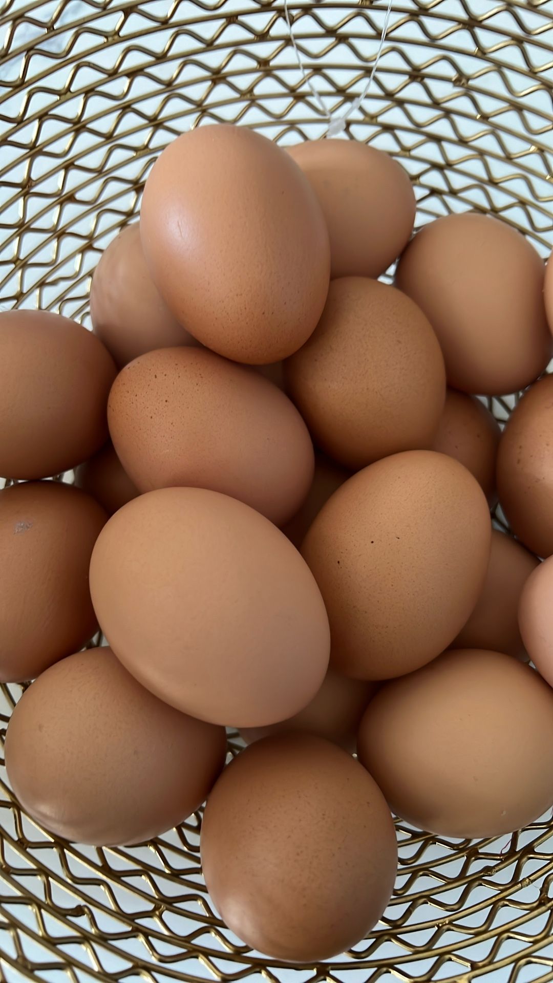 Chicken Eggs